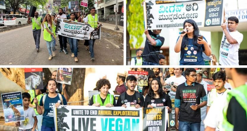 Massive Animal Rights March Floods Bengaluru Streets with Compassion