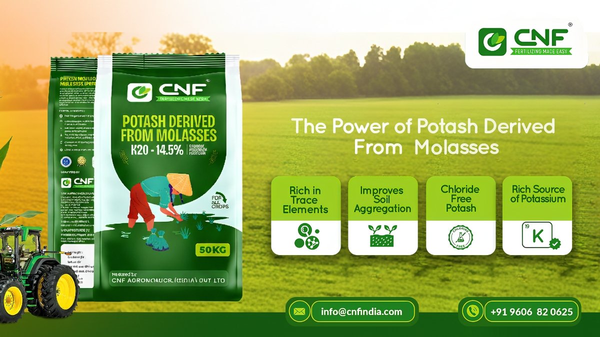CNF Phosphates