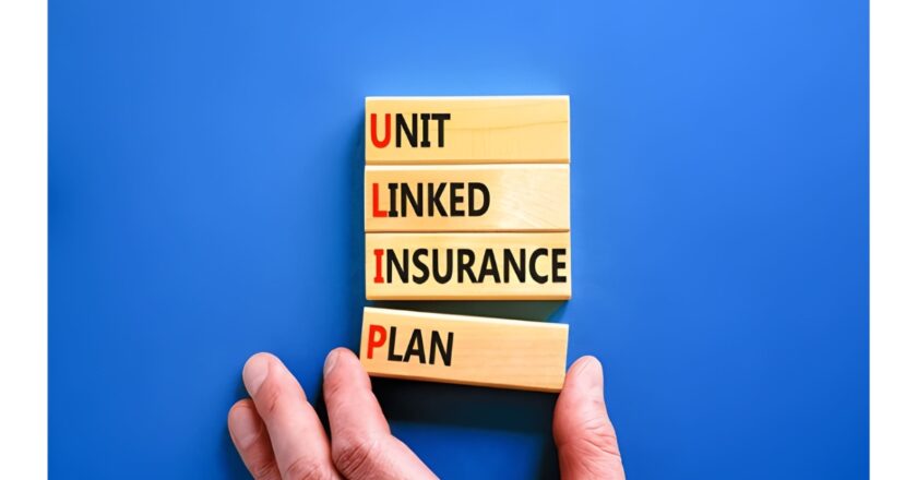 What Is a Unit Linked Insurance Plan and How Does It Build Wealth Over Time