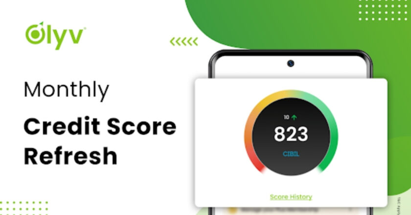 Check Credit Score Online: A Complete Guide to CIBIL Score Check in India
