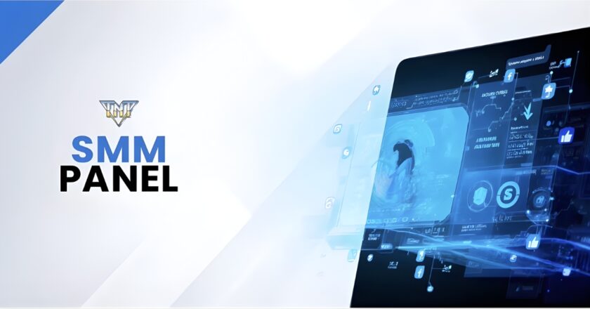 Why Businesses Are Searching for the Best SMM Panel in 2026