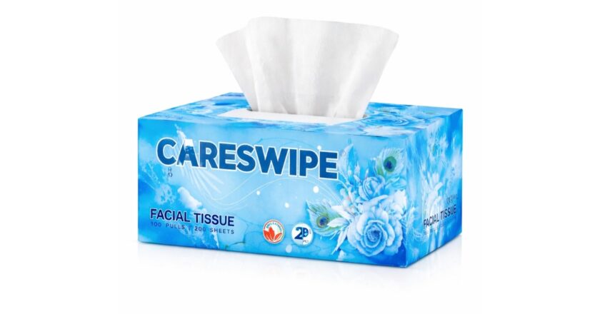Careswipe: Redefining Everyday Hygiene with Quality and Care