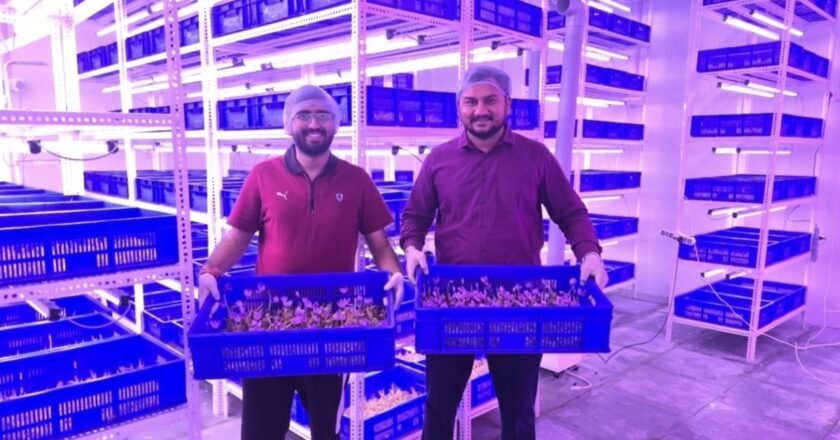 Rootious Organics Startup Revolutionizes Saffron Farming with Aeroponics, Setting New Standards for Purity and Innovation