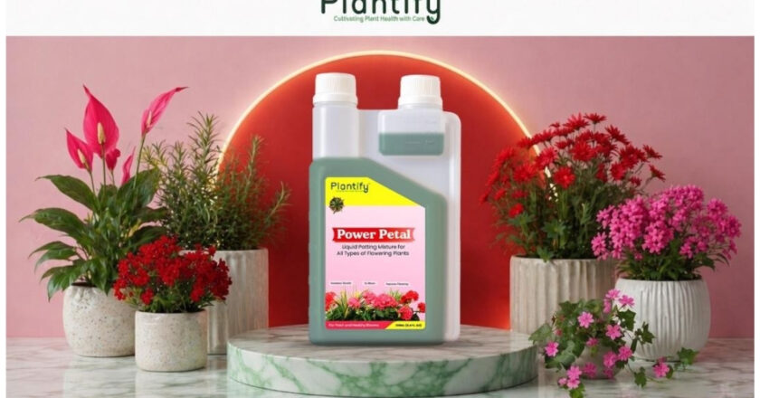 Top Benefits of Using Organic Liquid Potting Mixture for Home Gardening