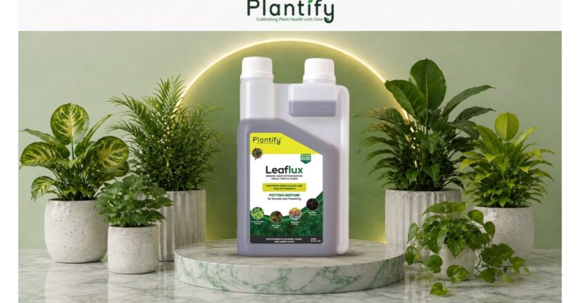 Top Benefits of Organic Liquid Potting Mixture for Faster Plant Growth & Increase Flower Bloom