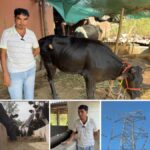 From Doubt to Dignity: How Power Towers Changed a South Gujarat Farmer’s Life and Brought New Hope to His Family