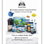 Hyderabad Based Pet Startup Ocean Paws Launches India’s First Aquarium-Led Online Pet Store, Delivering Pan-India
